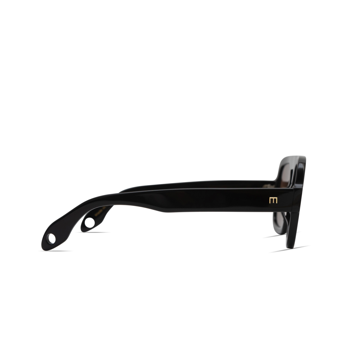 Jane Sunglasses — Gloss Black Dark Brown Lens