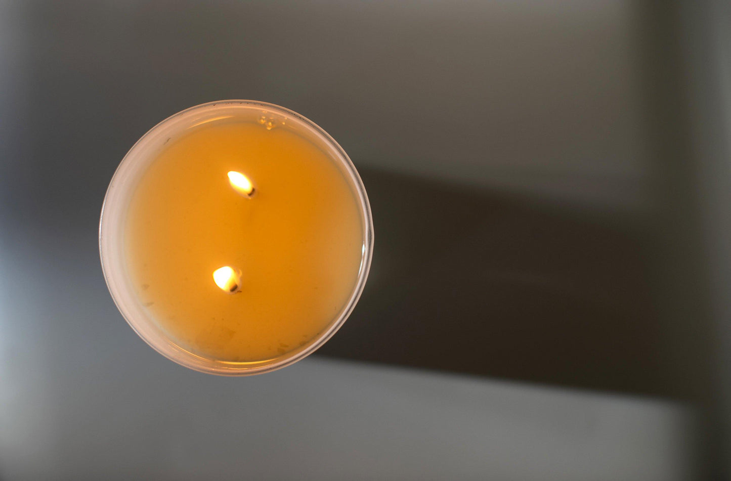 Sydney Hale Soy Candle - Tobacco + Sandalwood - Vincent Park - {{shop.address.city}} {{ shop.address.country }}