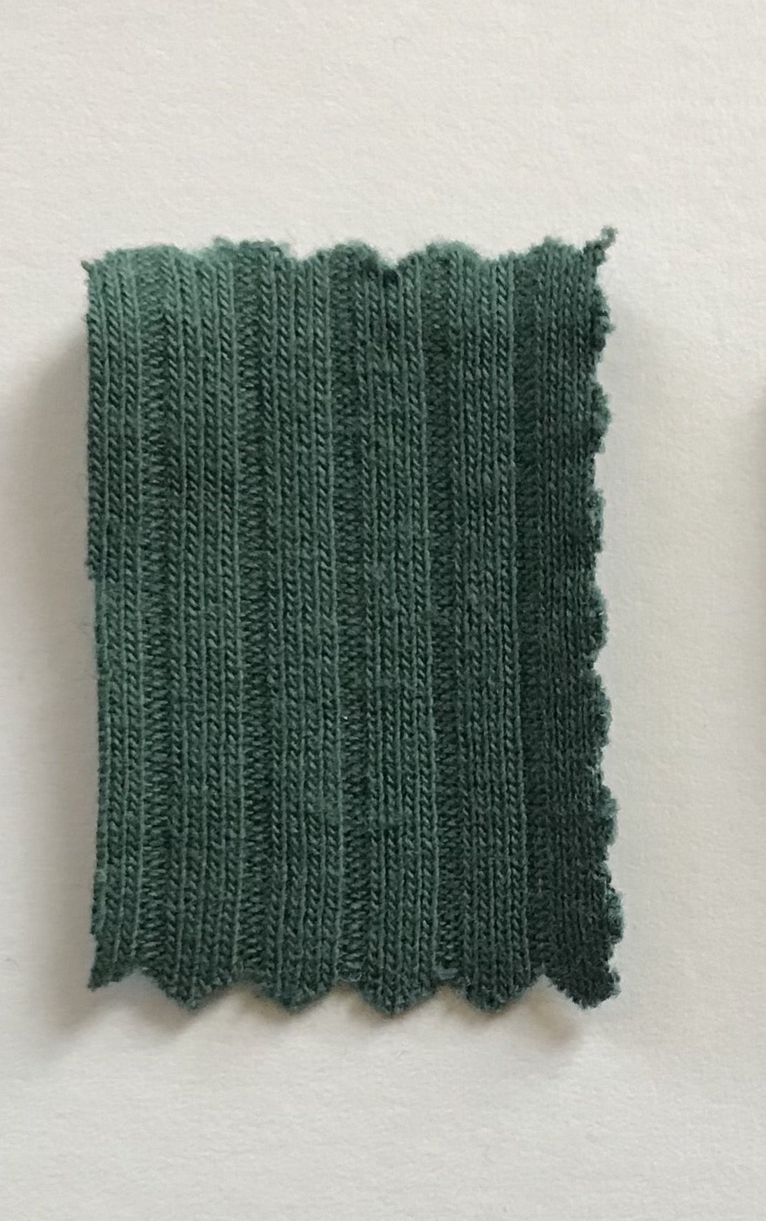 Soft Focus Easy Rib Pant - Ivy League - Vincent Park - {{shop.address.city}} {{ shop.address.country }}