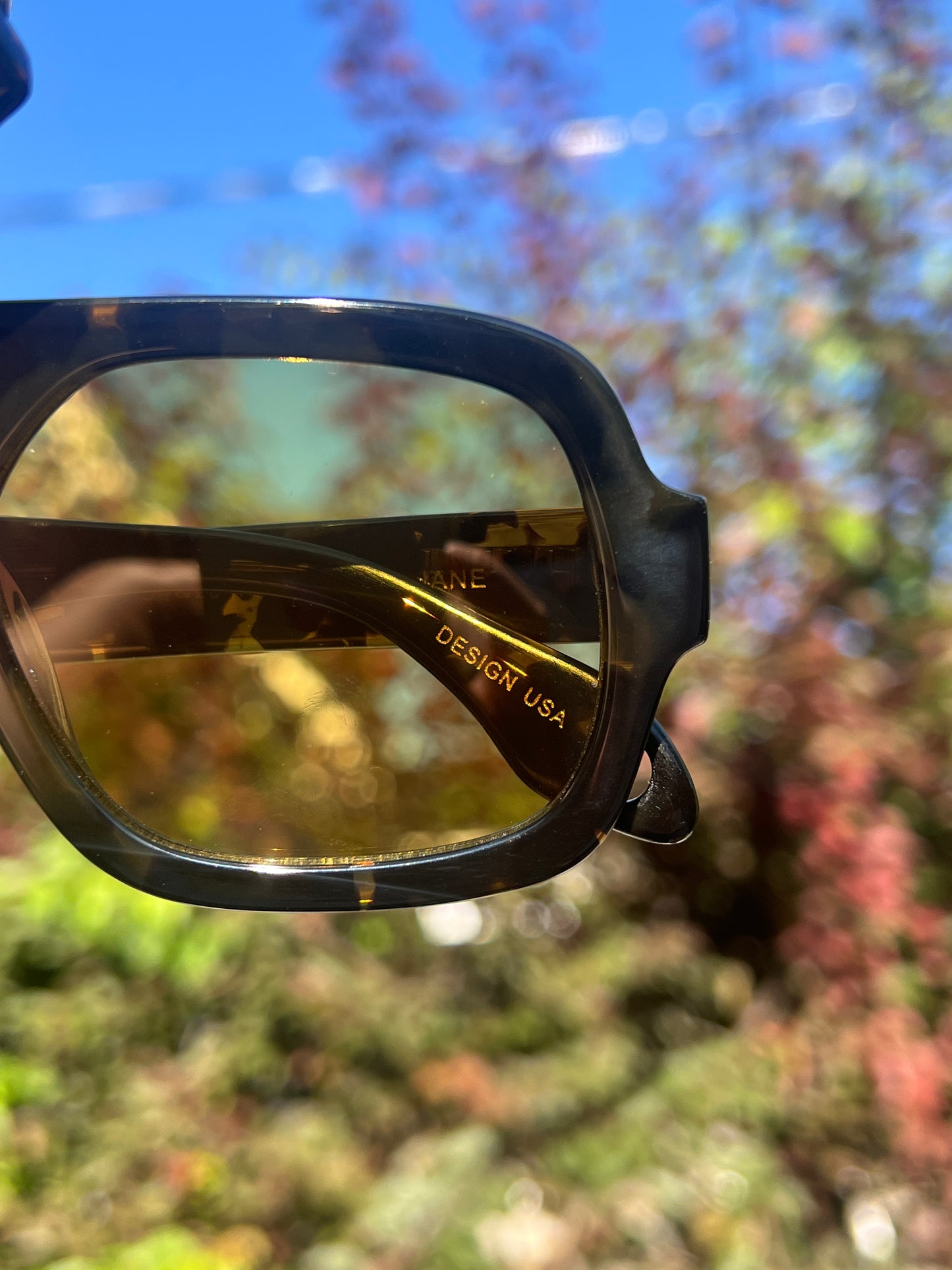 Jane Sunglasses - Dark Tortoise Olive Lens